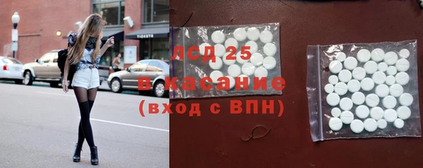 молекула духа Магадан