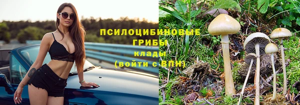 мдма Медвежьегорск