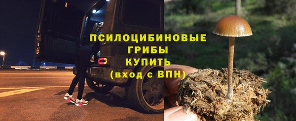 мдма Медвежьегорск