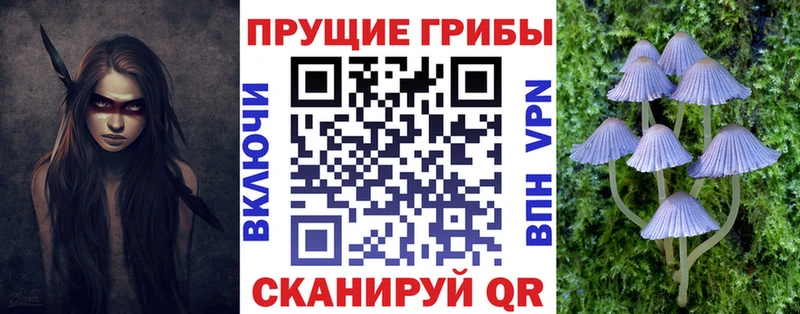 Псилоцибиновые грибы прущие грибы кракен зеркало Пучеж хочу